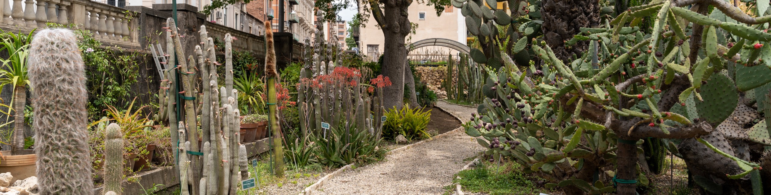 Orto Botanico di Catania