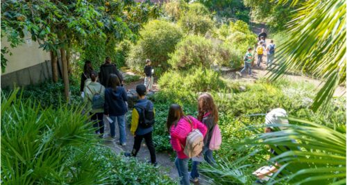 Visite guidate all’Orto Botanico | Luglio 2023
