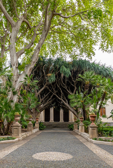 Orto Botanico di Catania