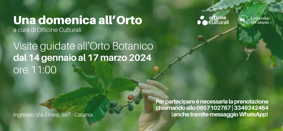 Una domenica all’Orto