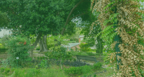 Pasqua all’Orto Botanico di Catania