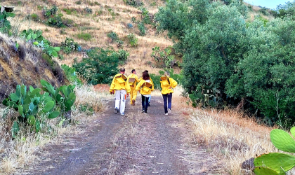 Un anno di Beedini agriCultura