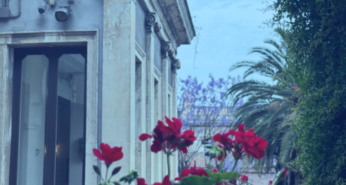 Visite guidate a Villa Cerami | agosto 2024