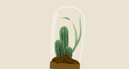 Orto in vetro: costruiamo un terrario | workshop