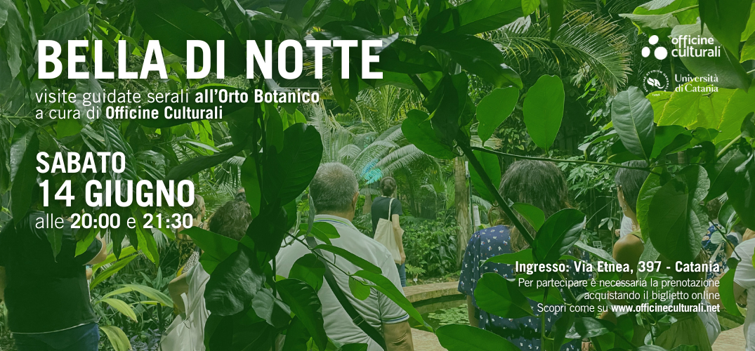 Bella di notte
