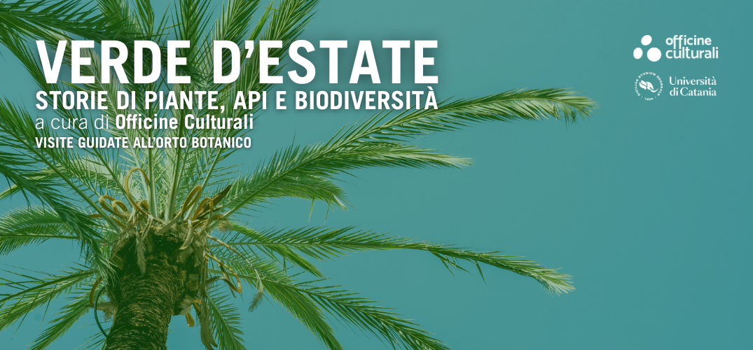 Verde d’estate: storie di piante, api e biodiversità