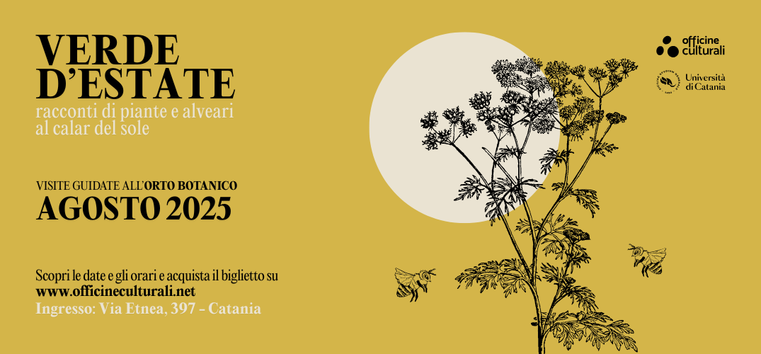 Verde d’Estate: racconti di piante e alveari al calar del sole