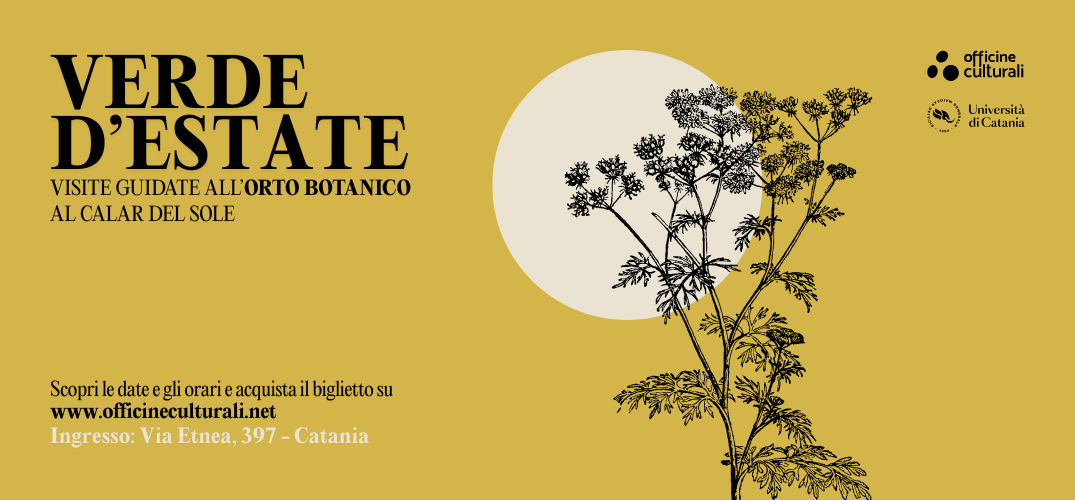 Verde d’Estate: visite guidate all’Orto Botanico al calar del sole