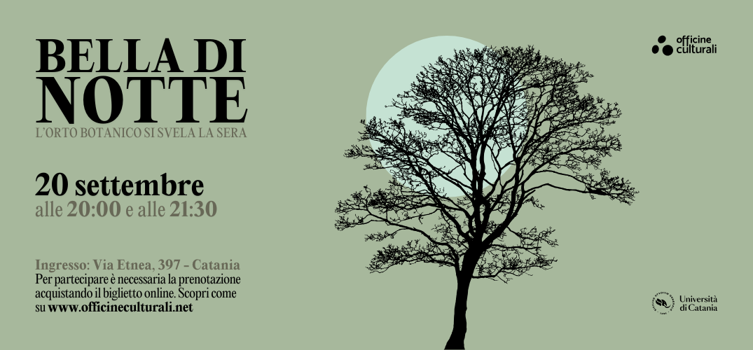 Bella di notte: visite guidate serali