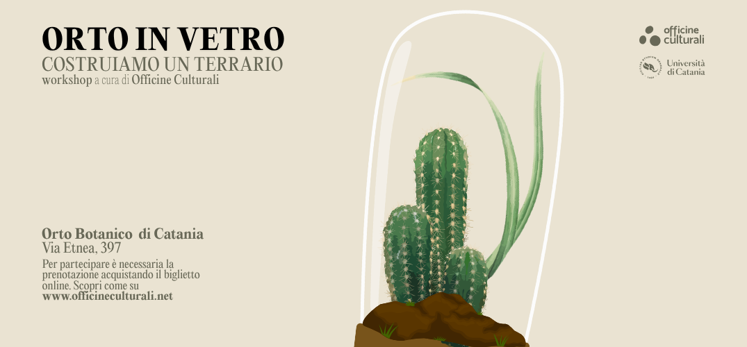 Orto in vetro: costruiamo un terrario