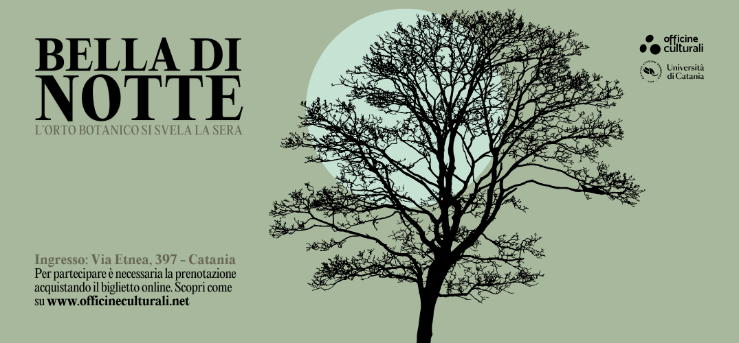 Bella di notte: visite guidate serali