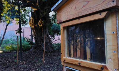 La sfida della biodiversità urbana all’Orto Botanico di Catania