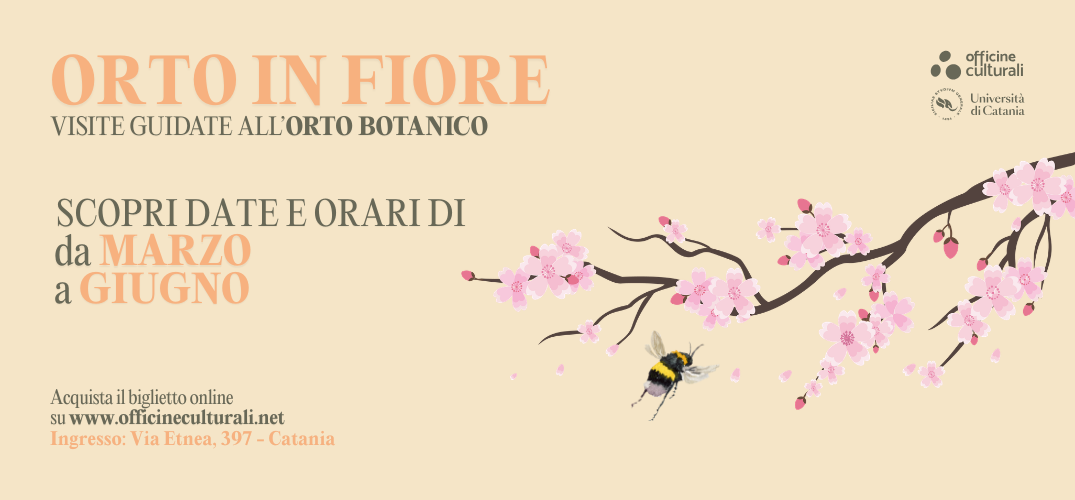 Orto in fiore: il percorso di primavera