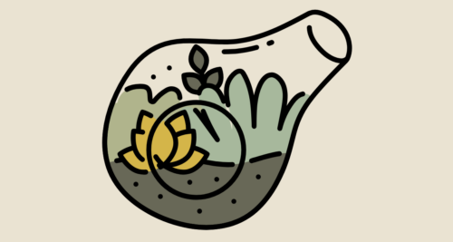 Orto in vetro: costruiamo un terrario