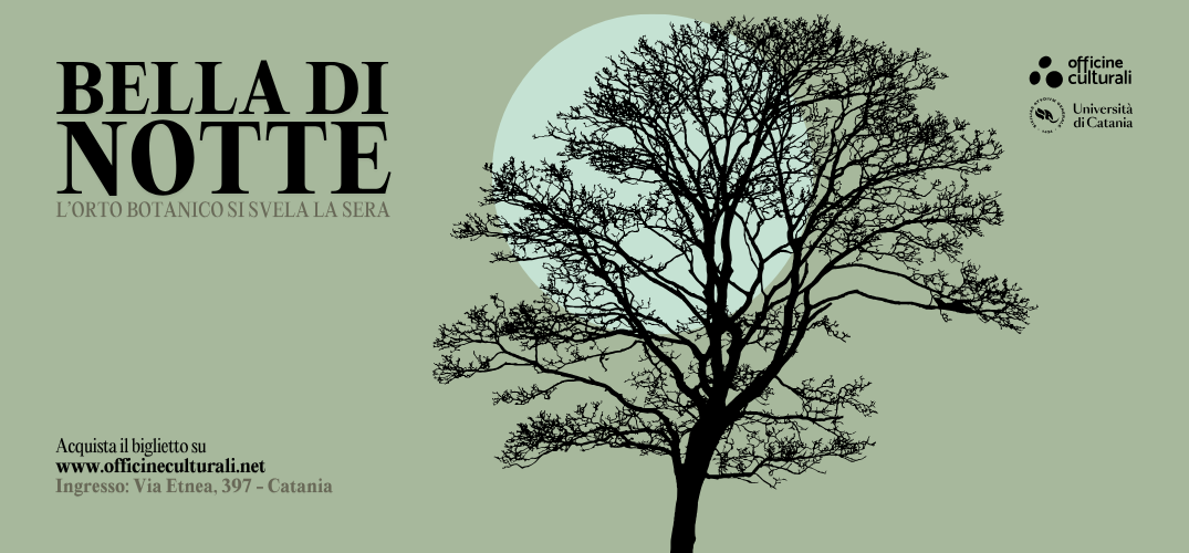 Bella di notte: visite guidate serali all’Orto Botanico
